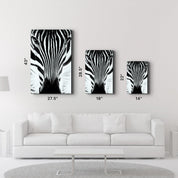 Zebra V2 | Glass Wall Art - ArtDesigna Glass Printing Wall Art