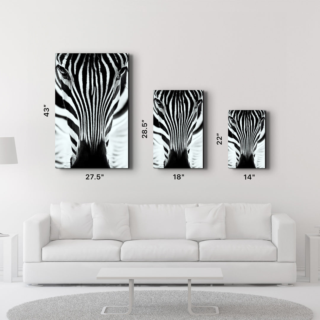 ・"Zebra V2"・Glass Wall Art - ArtDesigna Glass Printing Wall Art