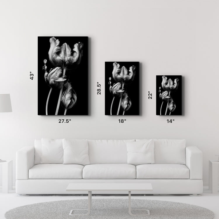 ・"Black - White Flower 2"・Glass Wall Art - ArtDesigna Glass Printing Wall Art