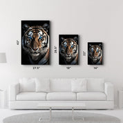 Blue Eyes - Tiger | Designers Collection Glass Wall Art - ArtDesigna Glass Printing Wall Art