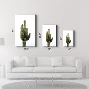 Giant Cactus | Glass Wall Art - ArtDesigna Glass Printing Wall Art