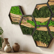 Honeycomb Moss & Olive Tree | Premium Handmade Wall Sculptures