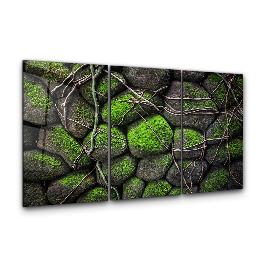 ・"Ivy on the Stone - Trio"・Glass Wall Art