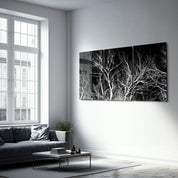 ・"Dried Branches Black and White - Trio"・Glass Wall Art - ArtDesigna Glass Printing Wall Art