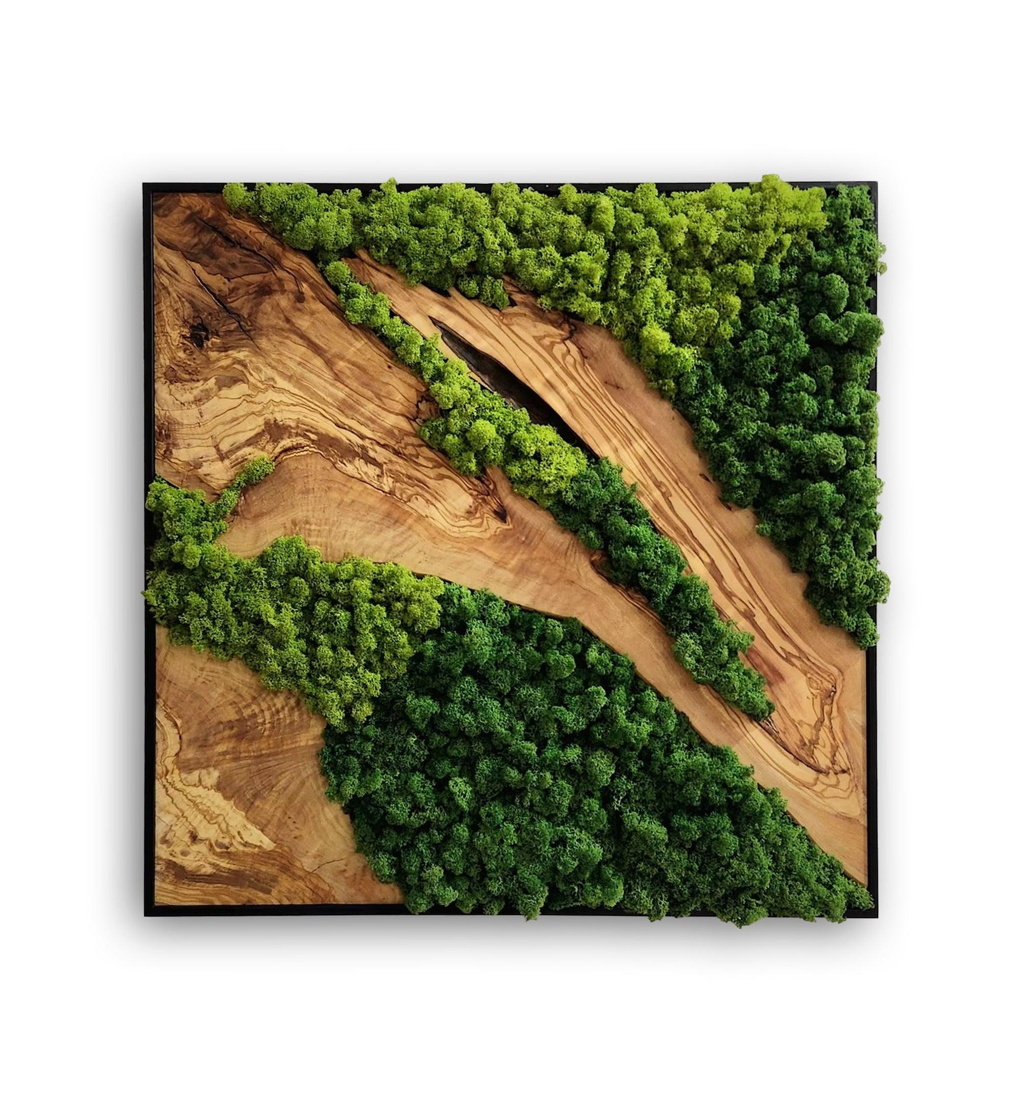 Moss and Olive Tree Wood Wall Art 2 Colors | Premium Handmade Wall Sculptures - Artdesigna