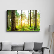 The Forest | Glass Wall Art