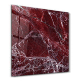Crimson Veins Square Art | Glass Wall Art