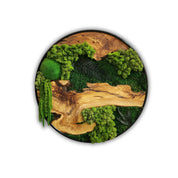 Organic Oasis | Premium Moss and Olive Wood Wall Decor - Artdesigna