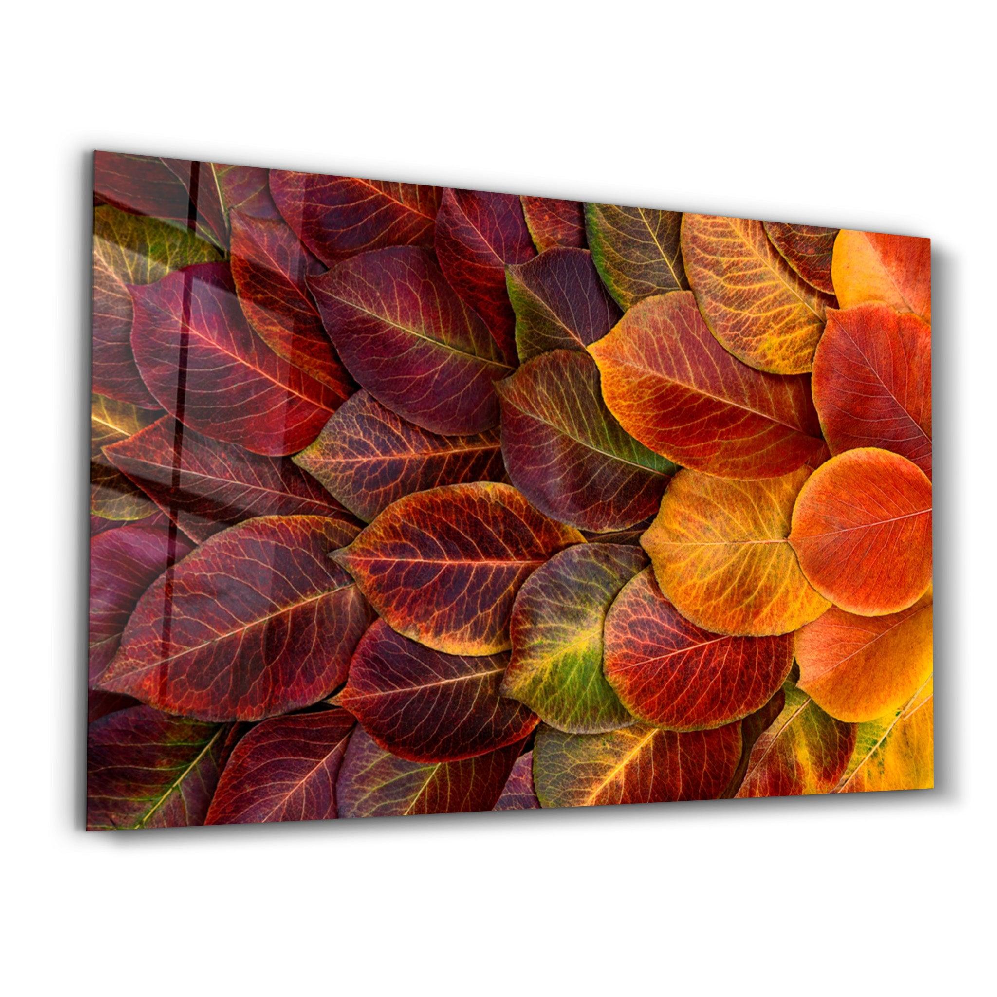 Leaves | Glass Wall Art - ArtDesigna Glass Printing Wall Art