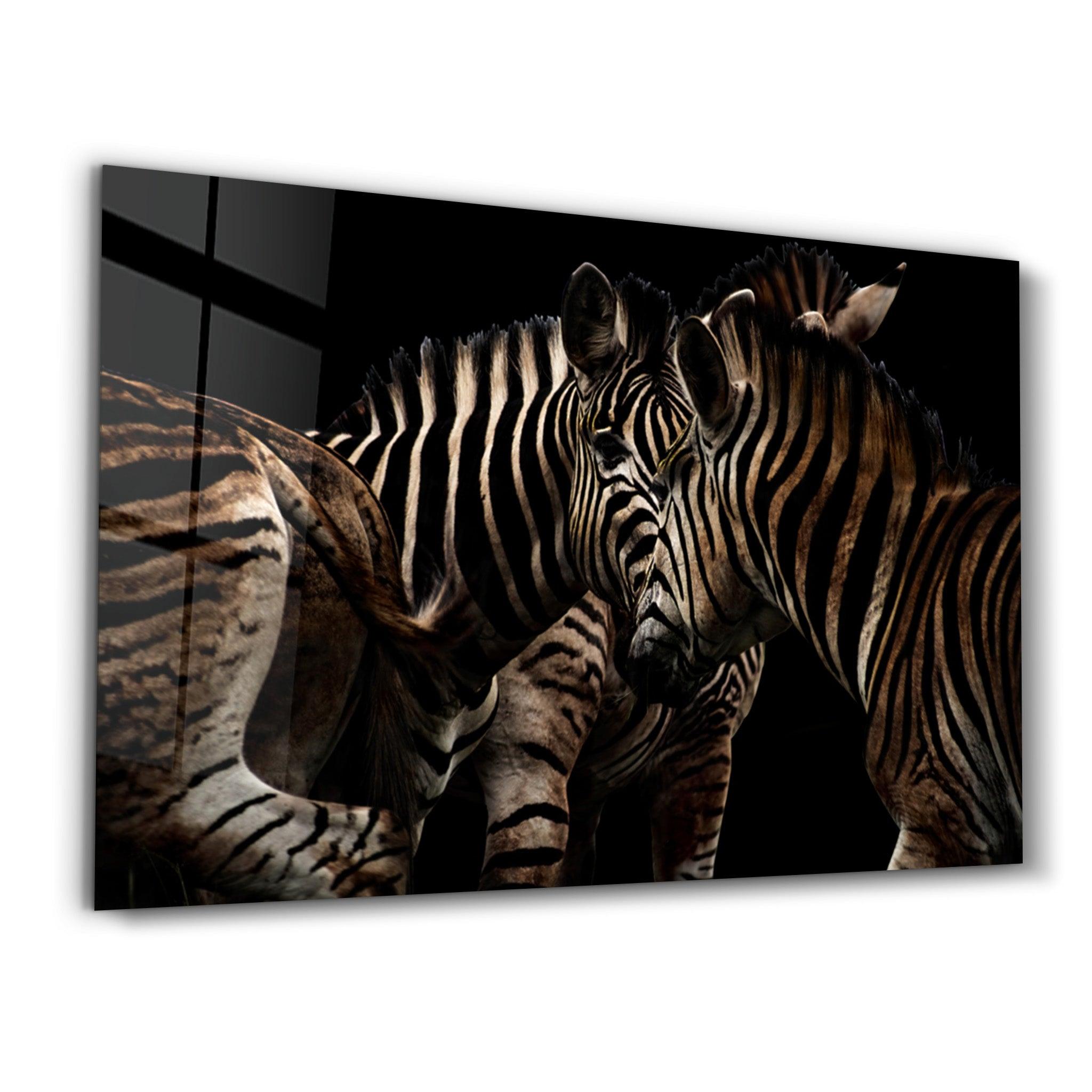 Zebra Family | Glass Wall Art - ArtDesigna Glass Printing Wall Art