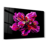 Violette Blume – Glasbild