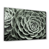 Raindrops On Echeveria | Glass Wall Art