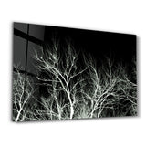 Negative | Glass Wall Art