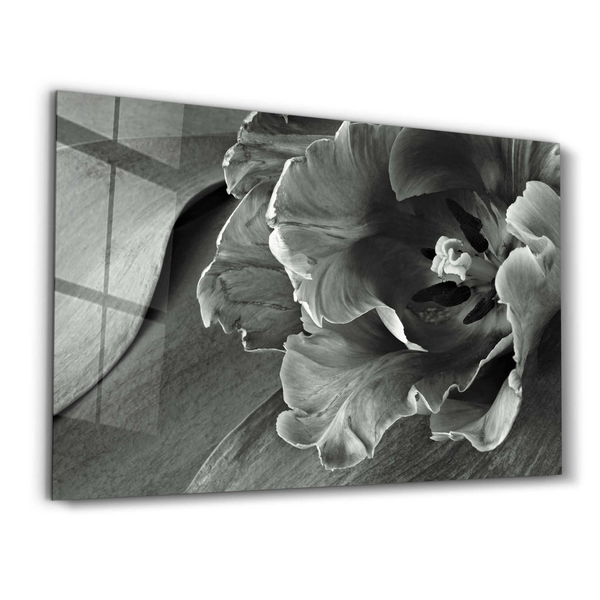 White&Gray Flower | Glass Wall Art - ArtDesigna Glass Printing Wall Art