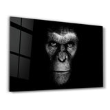 Tired But Wised | Glass Wall Art