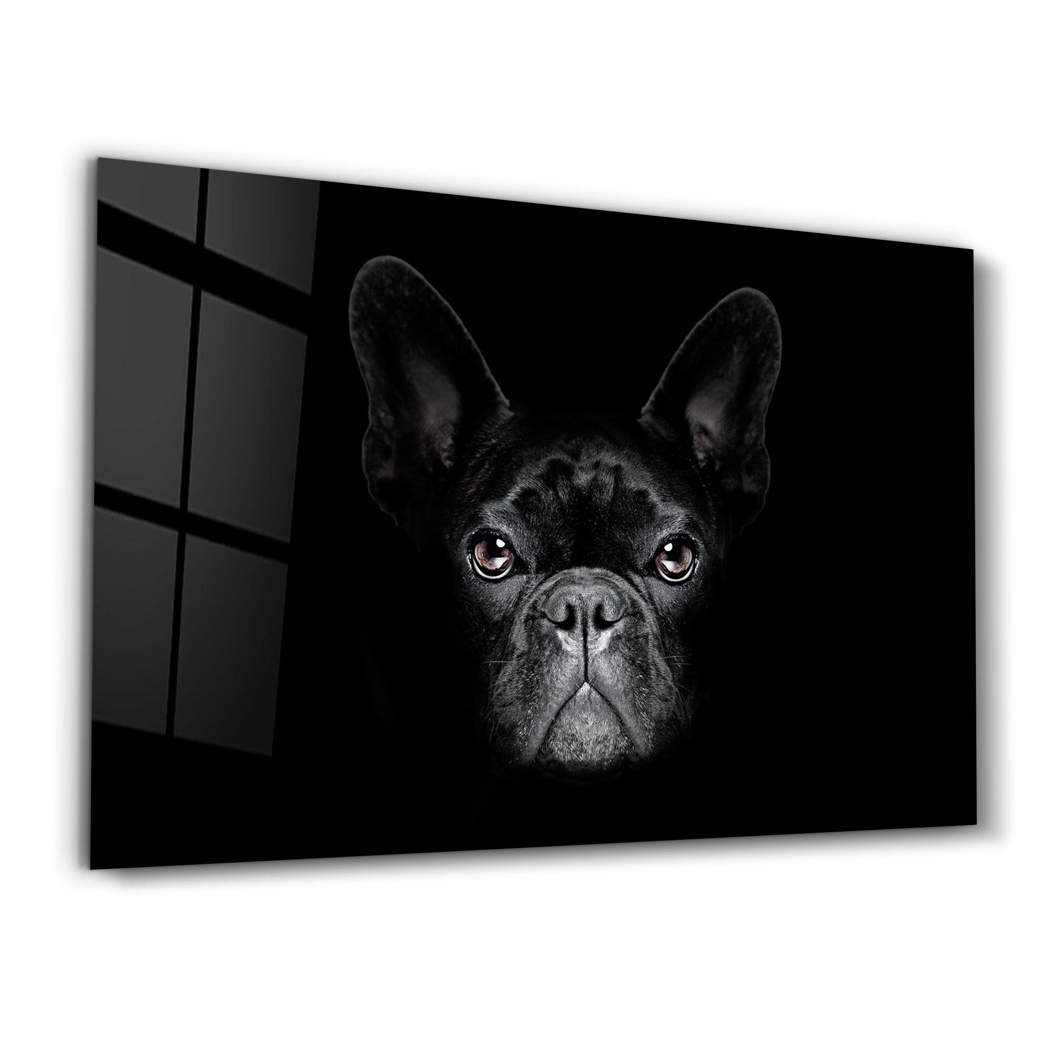 The Pug | Glass Wall Art - ArtDesigna Glass Printing Wall Art