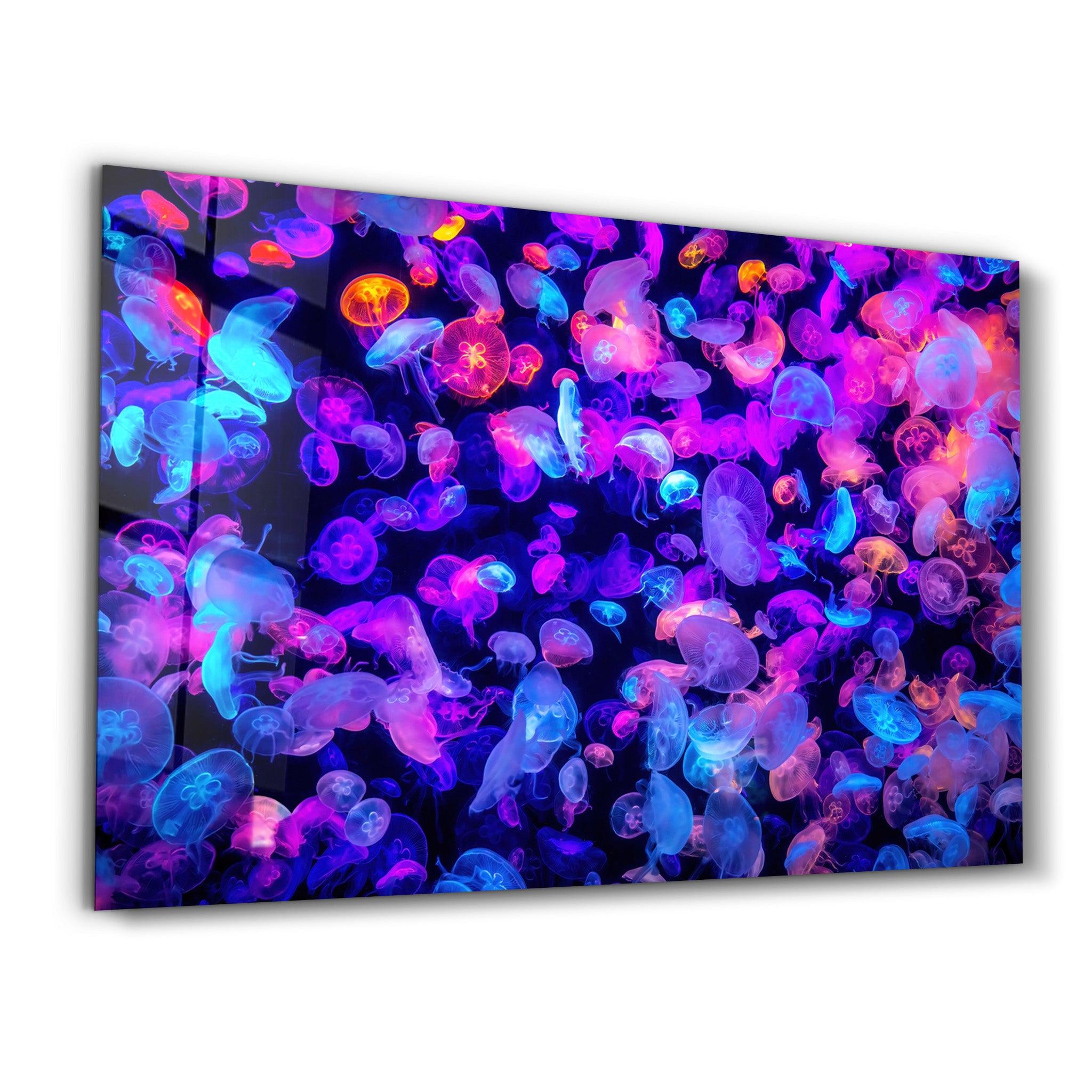 The Colorful Jellyfishes | Glass Wall Art - ArtDesigna Glass Printing Wall Art