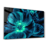 Morning Glory | Glass Wall Art - ArtDesigna Glass Printing Wall Art