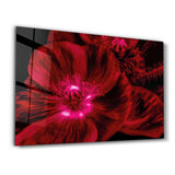 Morning Glory V2 | Glass Wall Art