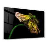 In Peril Of One's Life V2 | Glass Wall Art
