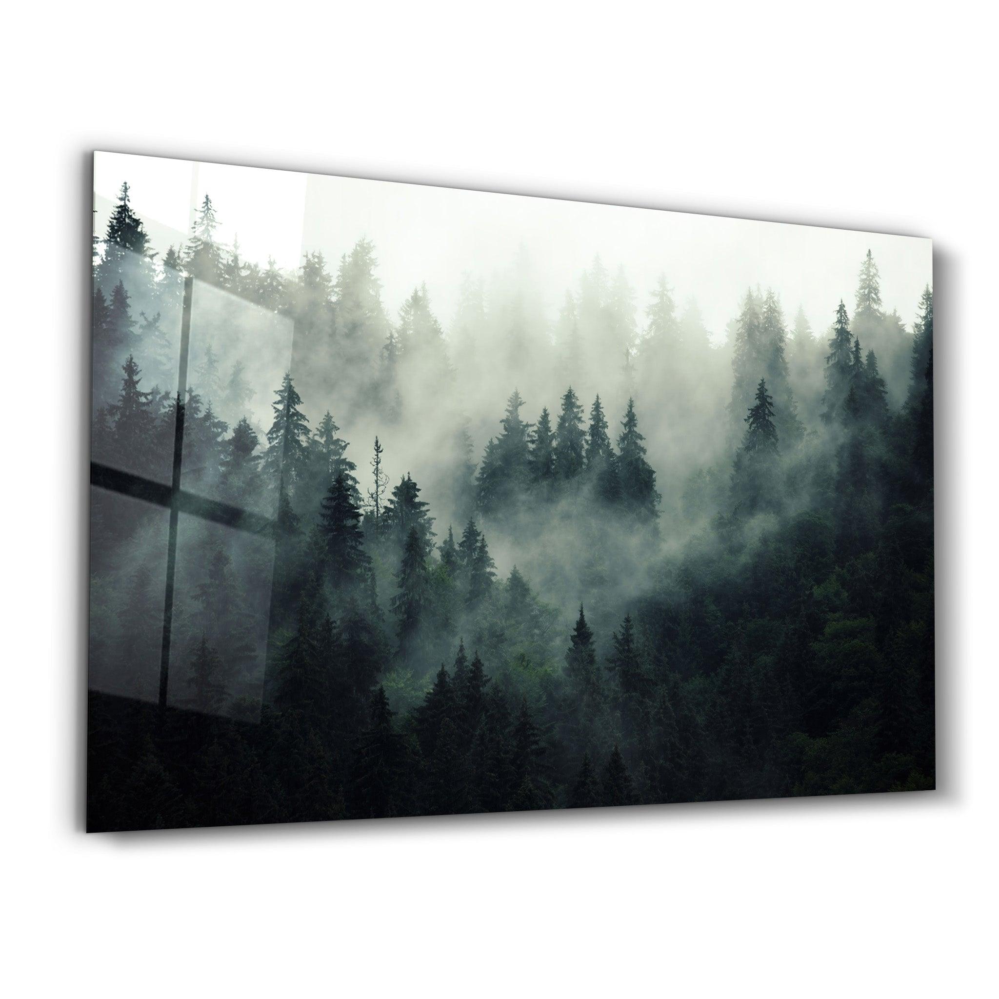 Black Forest | Glass Wall Art - ArtDesigna Glass Printing Wall Art