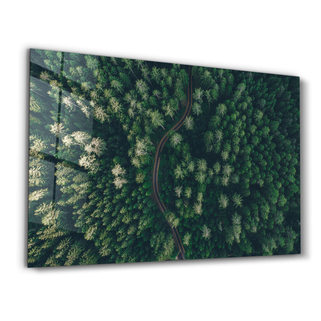 ・"Divided Forest"・Glass Wall Art - ArtDesigna Glass Printing Wall Art