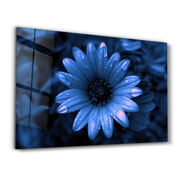 ・"Blue Daisy"・Glass Wall Art - ArtDesigna Glass Printing Wall Art