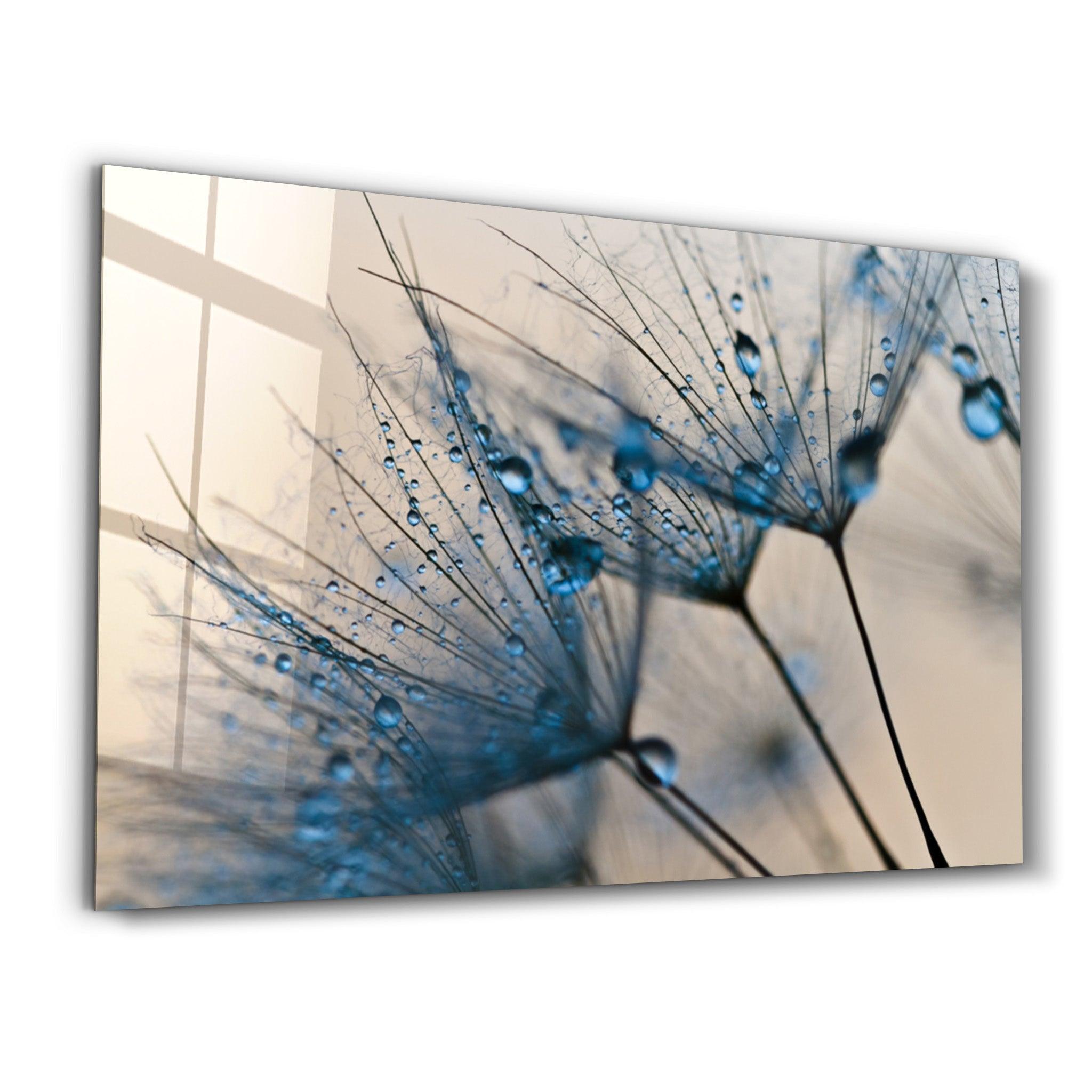 Crystal Dew | Glass Wall Art - Artdesigna