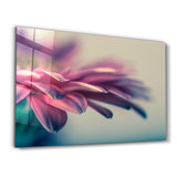 Blossom Serenity | Glass Wall Art