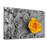 Yellow Rose | Glass Wall Art