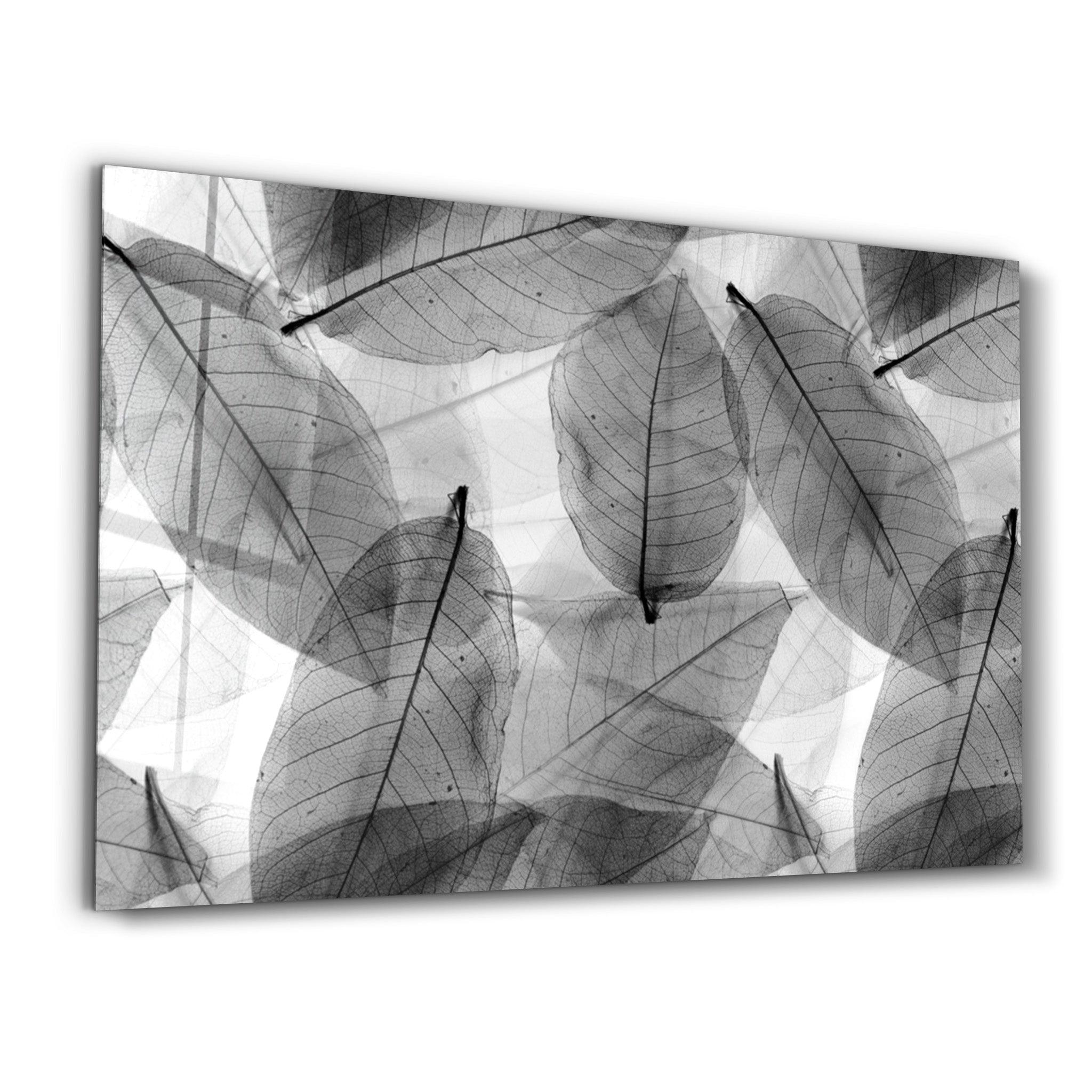 ・"Black - White Leaves"・Glass Wall Art - ArtDesigna Glass Printing Wall Art