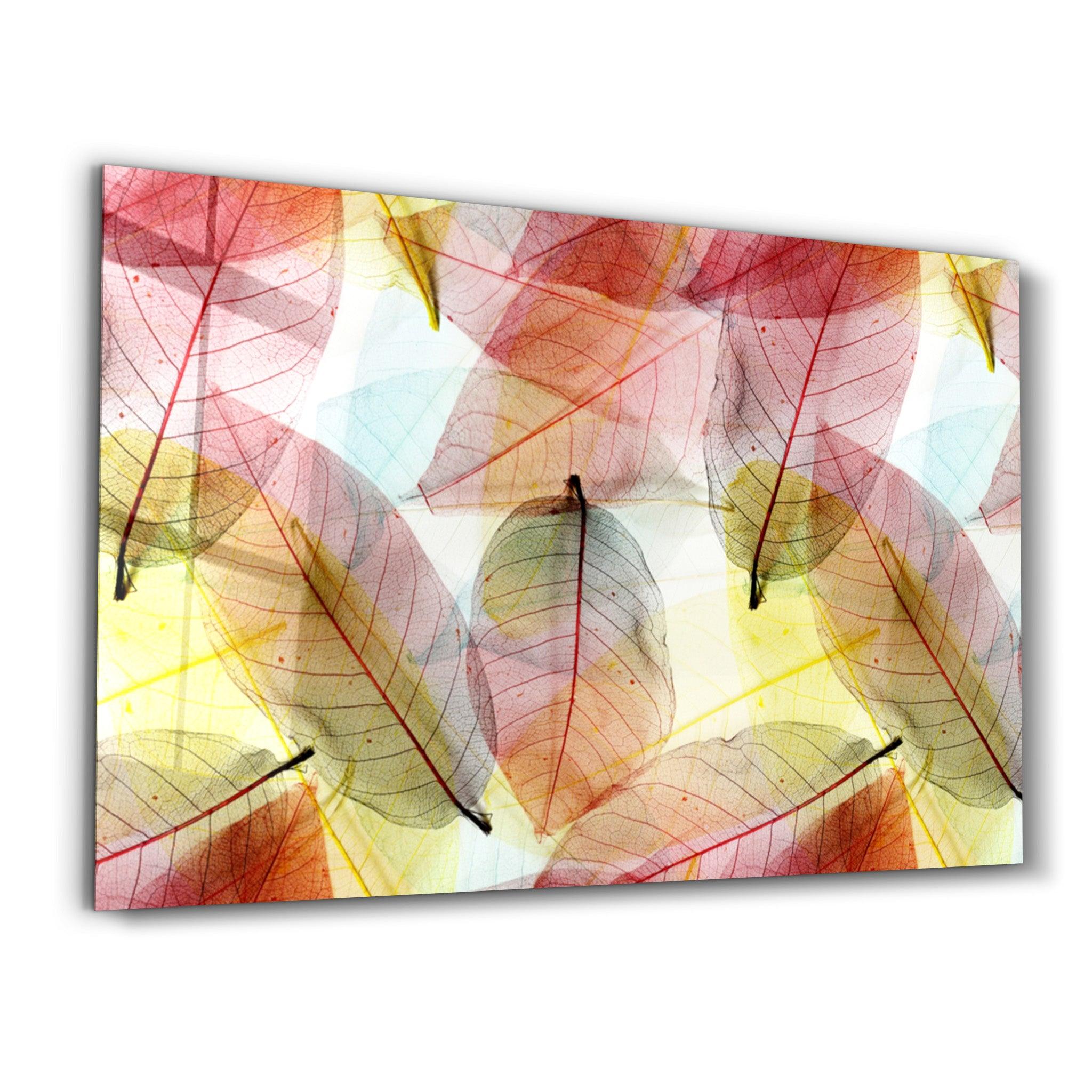 Colored Leaves | Glass Wall Art - ArtDesigna Glass Printing Wall Art