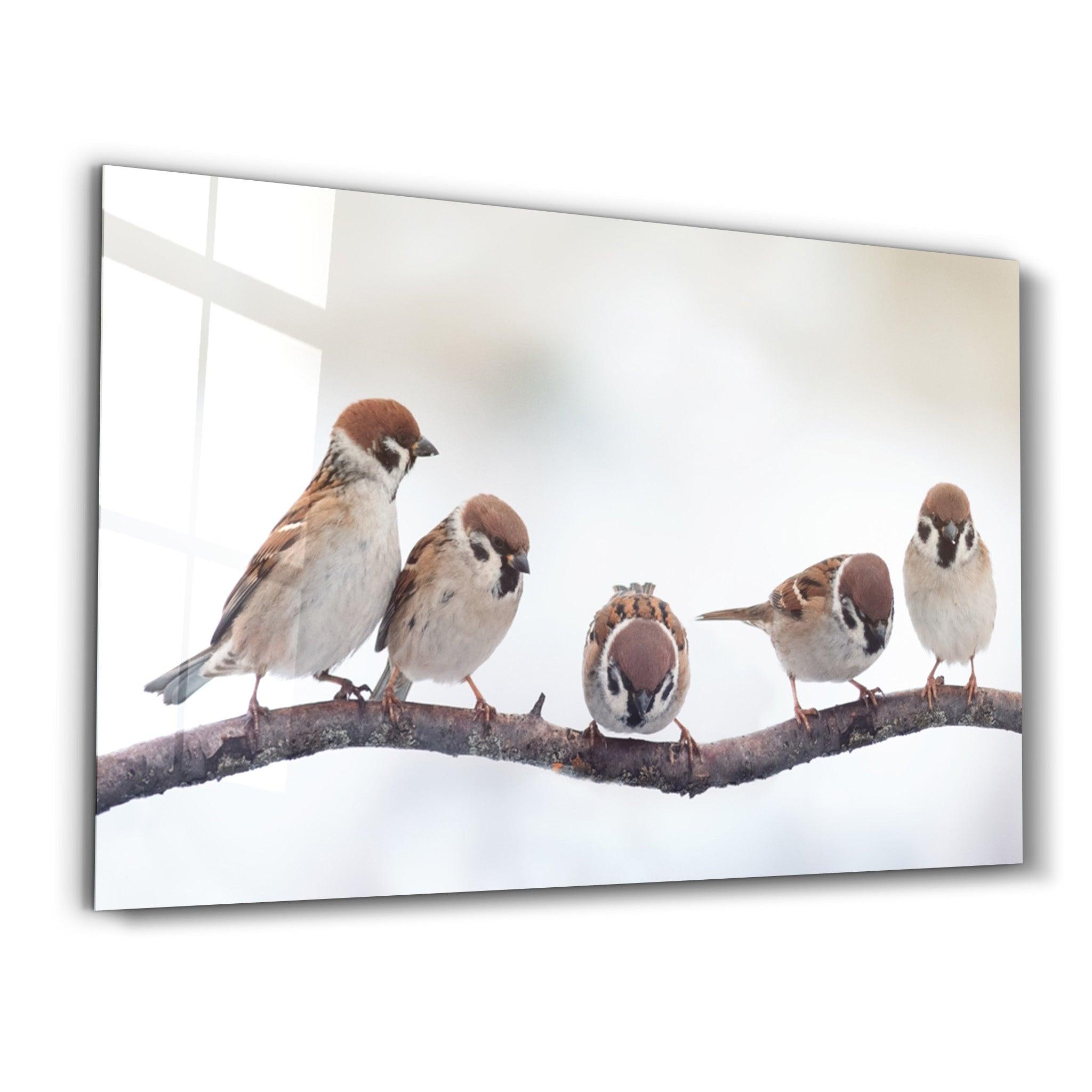 Birds | Glass Wall Art - ArtDesigna Glass Printing Wall Art