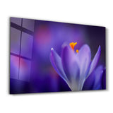 Radiant Bloom | Glass Wall Art