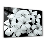 Timeless Bloom | Glass Wall Art