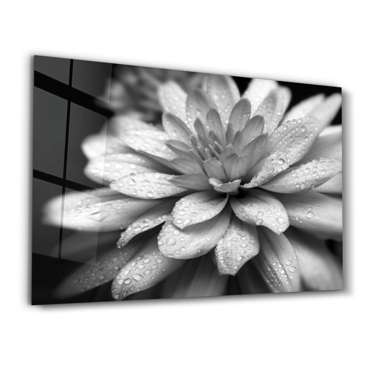 ・"Flower"・Glass Wall Art - ArtDesigna Glass Printing Wall Art