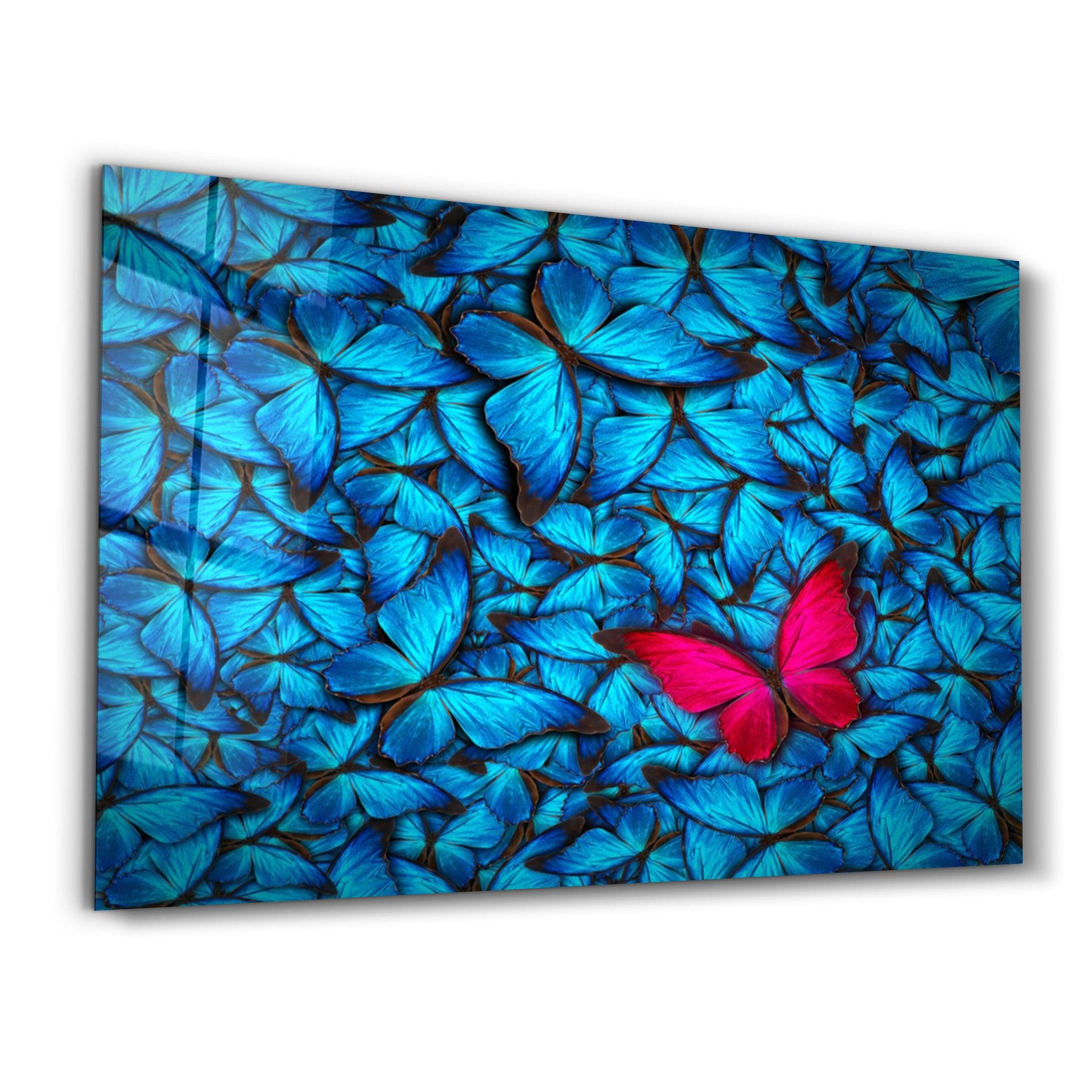 Butterfly 1 | Glass Wall Art - ArtDesigna Glass Printing Wall Art