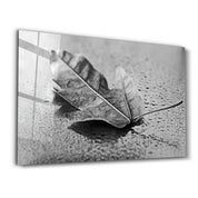 The Leaf 1 | Glass Wall Art - ArtDesigna Glass Printing Wall Art