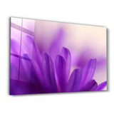 Violet Dream | Glass Wall Art