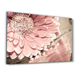 Petal Reflection | Glass Wall Art