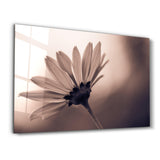 Whispers of Light | Glass Wall Art