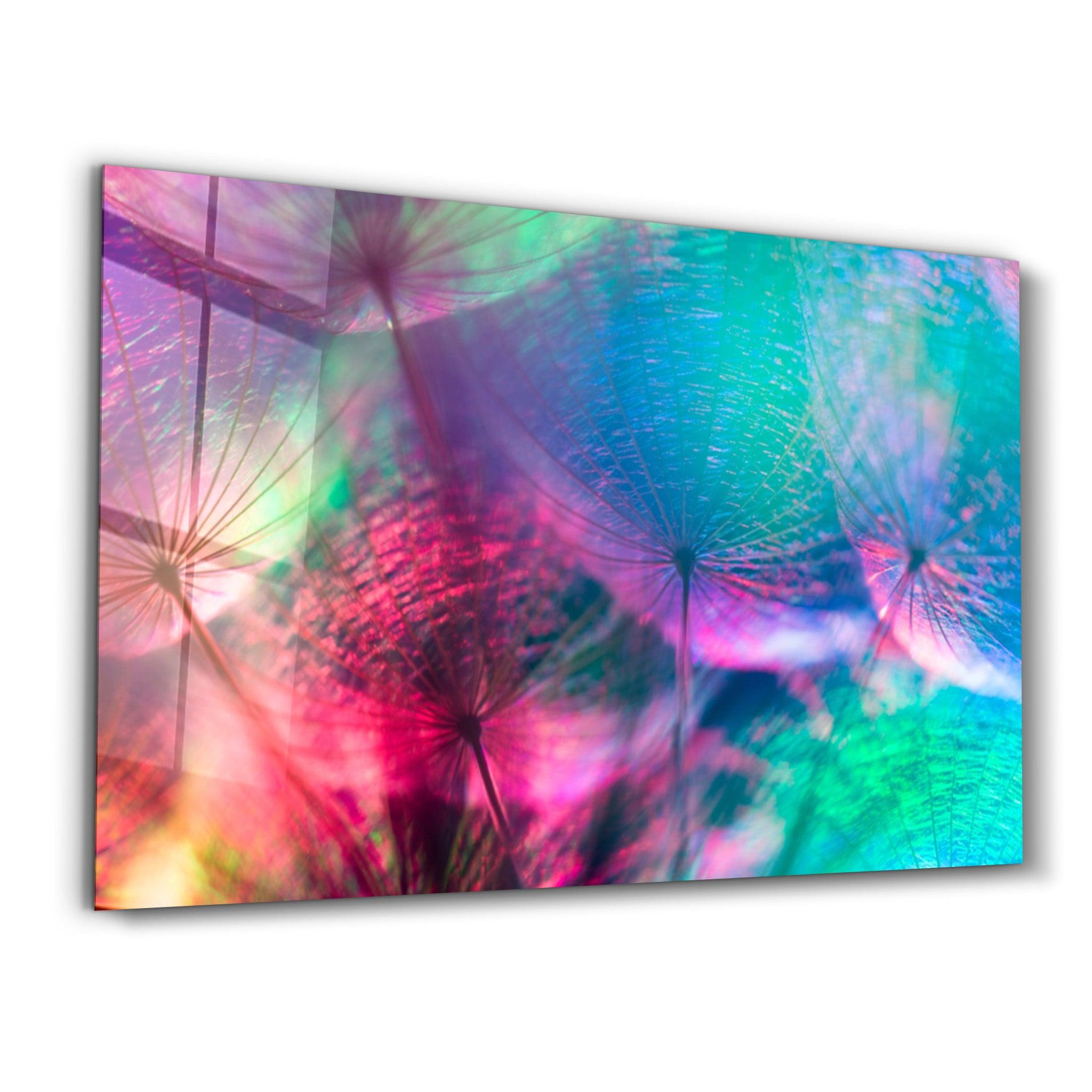 Dandelion | Glass Wall Art - ArtDesigna Glass Printing Wall Art