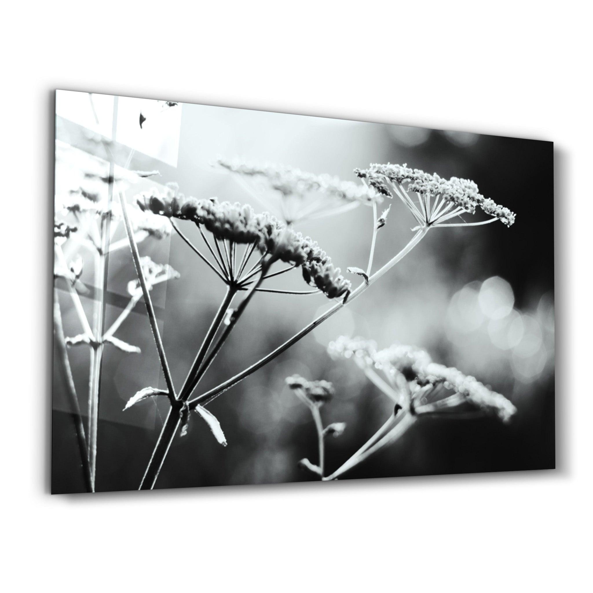 Flower | Glass Wall Art - ArtDesigna Glass Printing Wall Art