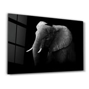 Elephant | Glass Wall Art - ArtDesigna Glass Printing Wall Art