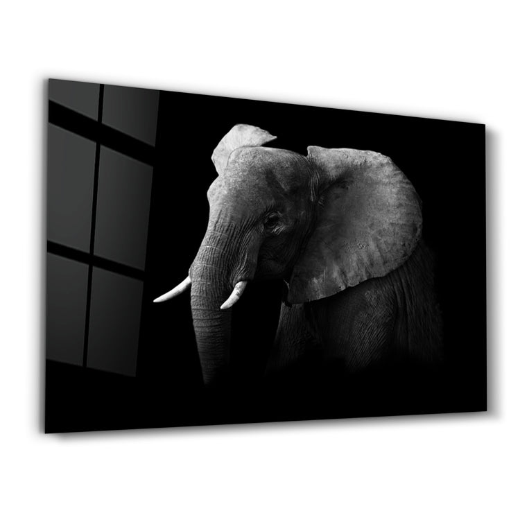 ・"Elephant"・Glass Wall Art - ArtDesigna Glass Printing Wall Art