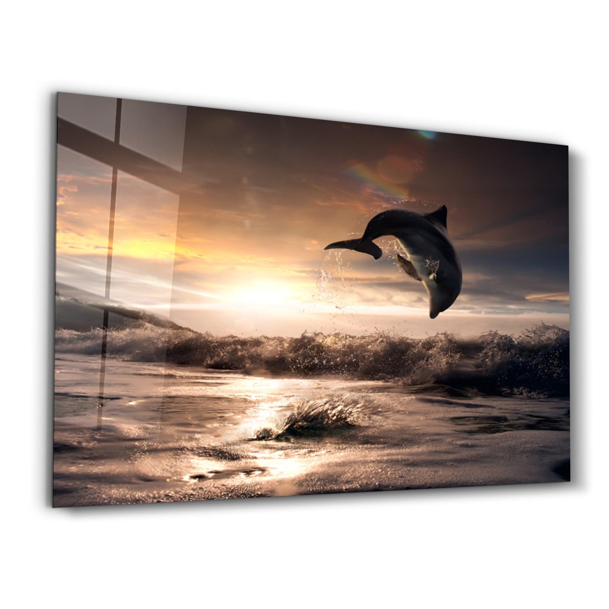Dolphin | Glass Wall Art - ArtDesigna Glass Printing Wall Art