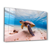 Sea Turtle | Glass Wall Art