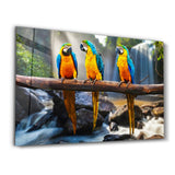 Parrots | Glass Wall Art