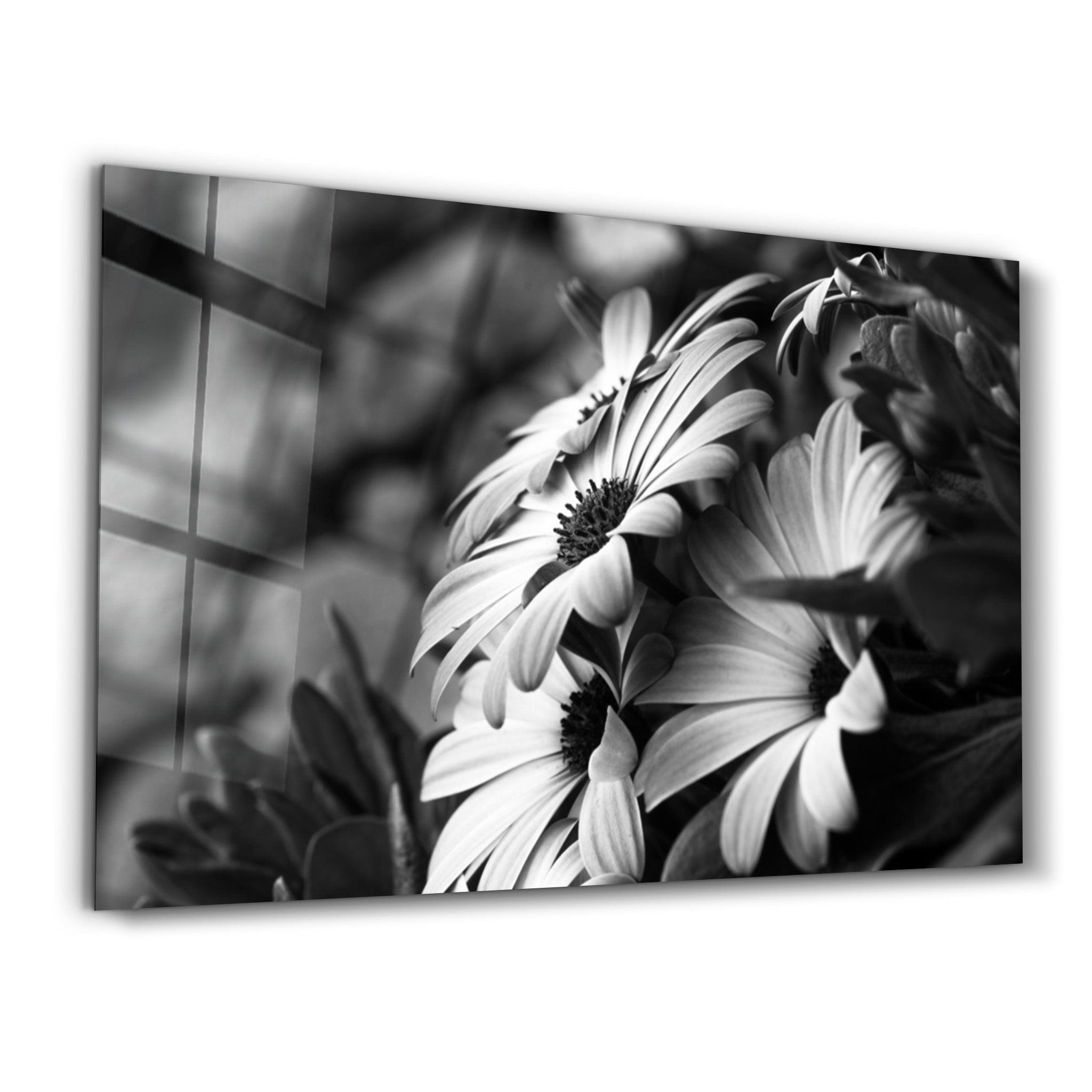 Black - White Flower | Glass Wall Art - ArtDesigna Glass Printing Wall Art