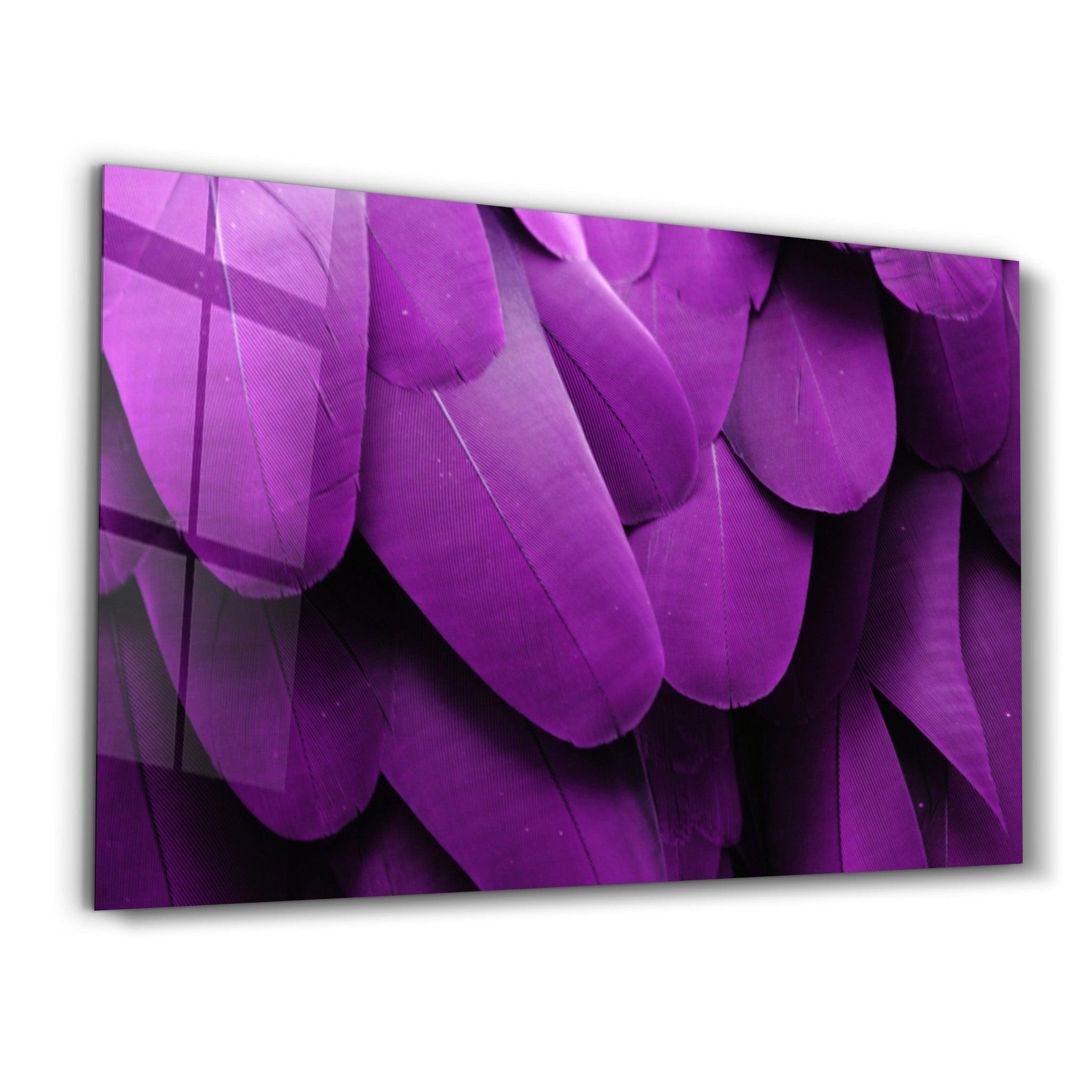 Bird Feathers | Glass Wall Art - Artdesigna